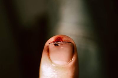 Close-up of hand holding strawberry