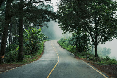 Empty road along trees