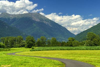 Scenic view of field against sky
