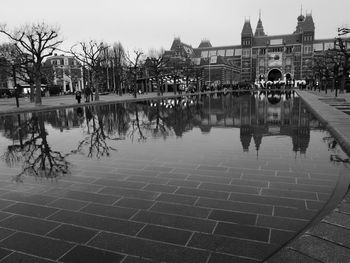 Reflection of plants in water