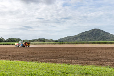 Scenic view of agricultural field