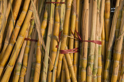 Full frame shot of sugar canes for sale in market