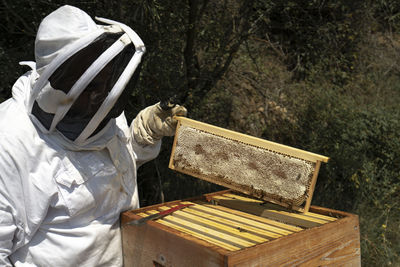 A man on a sunny day wears a bee suit and check beehive honey producti