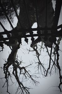 Low angle view of silhouette tree against sky