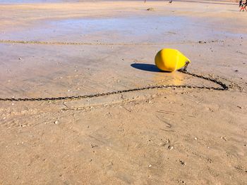 Yellow umbrella on beach