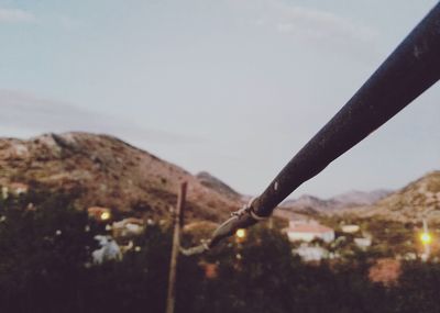 Close-up of plant against sky