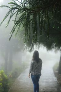 Rear view of woman walking on tree