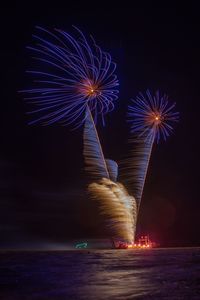 Firework display at night