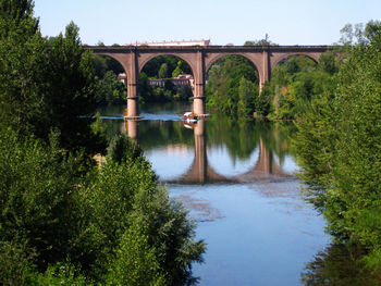 Arch bridge over river against trees