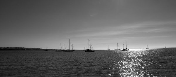 Sailboats sailing in sea against sky