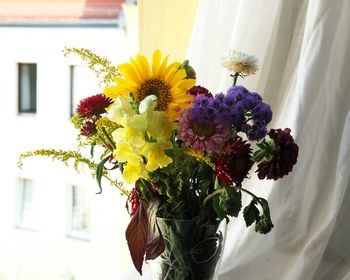 Close-up of flowers in garden