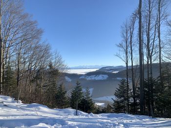 Panorama view at snow covered passwang in winter