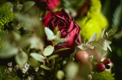 Red roses flowers in a green botanical composition bouquet for a special event