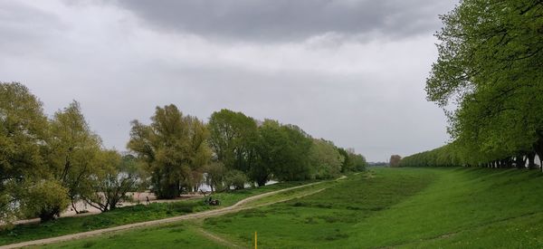 Panoramic shot of trees on field against sky