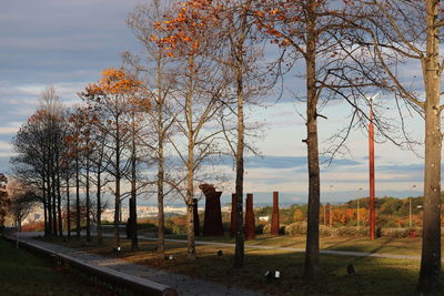 Trees in playground against sky