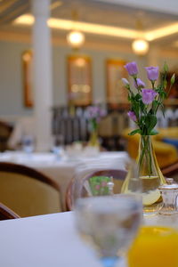 Close-up of purple roses in case on dining table