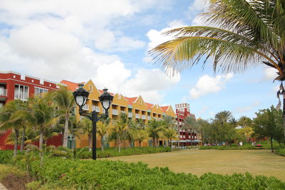 Palm trees and houses against sky