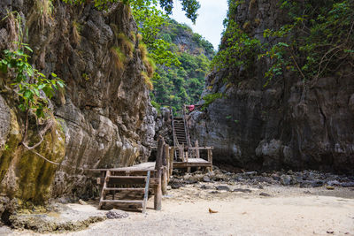 Scenic view of rock formation amidst trees in forest