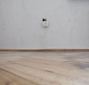 View of cat on hardwood floor at home
