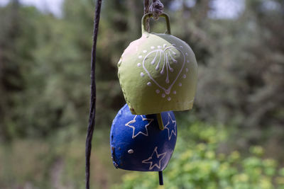 Close-up of leaf hanging on tree