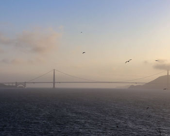 View of birds flying over sea against sky