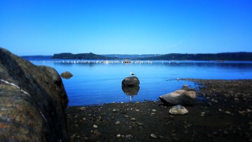 Scenic view of calm sea against clear sky