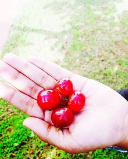 Close-up of hand holding strawberry