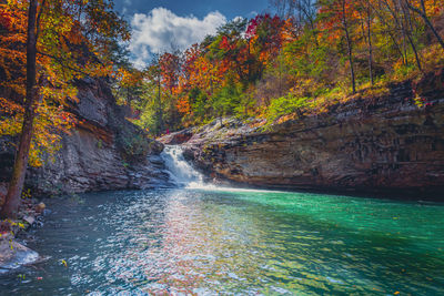 Scenic view of waterfall in forest during autumn