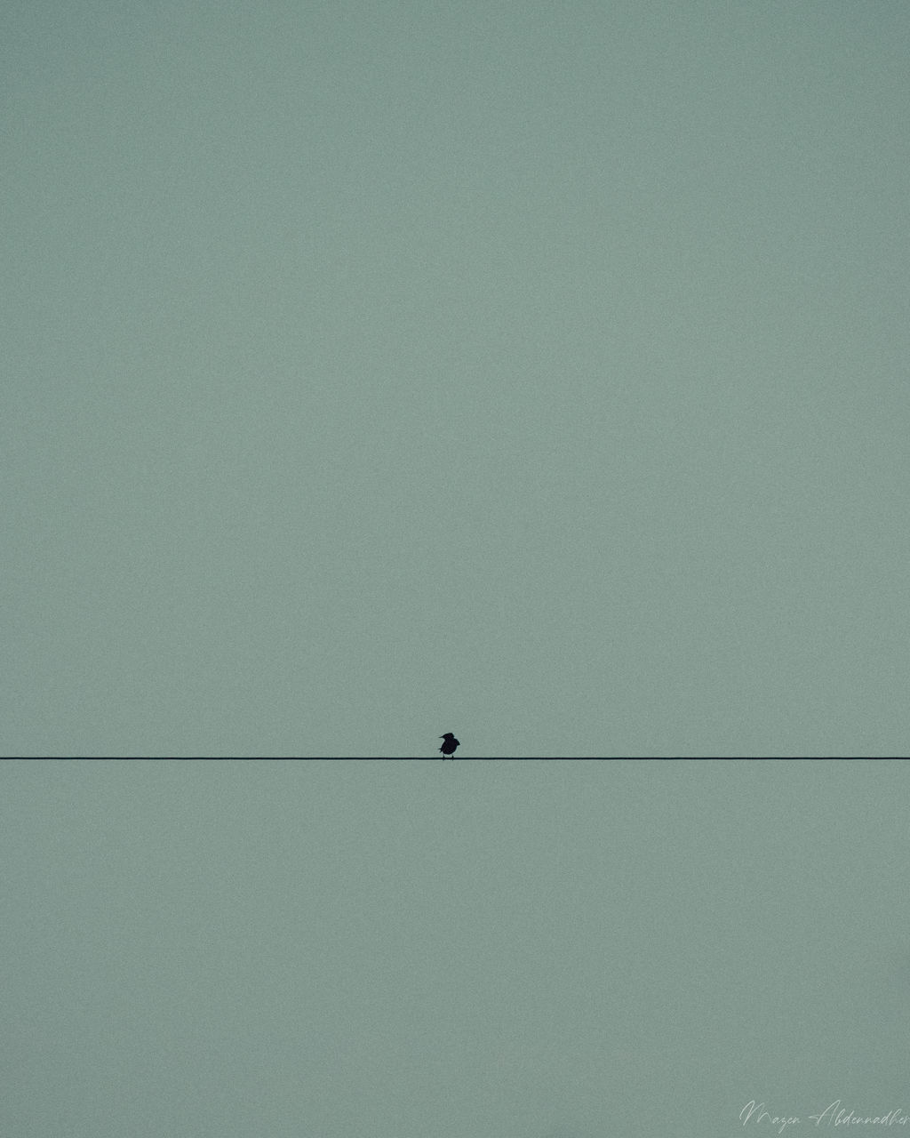 LOW ANGLE VIEW OF BIRDS PERCHING ON CABLE AGAINST SKY