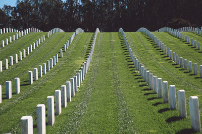 View of cemetery