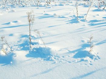 High angle view of snow covered field