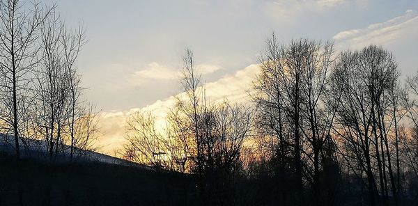 Low angle view of silhouette trees against sky at sunset