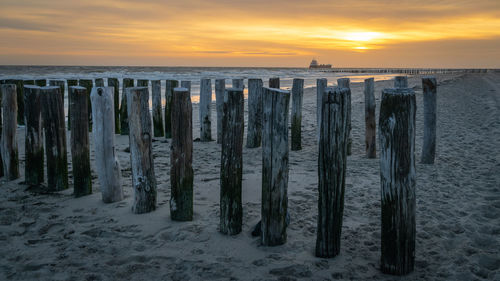 Panoramic view of wooden posts on beach during sunset