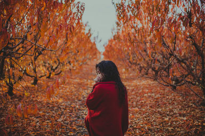 Rear view of man standing in forest during autumn