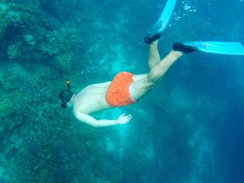 High angle view of man snorkeling undersea