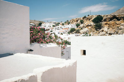 Buildings in a town