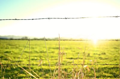 Barbed wire fence on field against sky