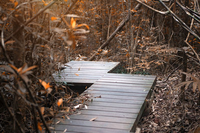 High angle view of dry plants on field