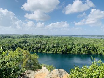 Scenic view of lake by trees against sky