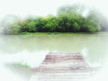 Wooden pier over lake by trees