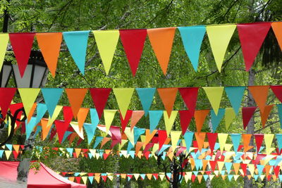 Multi colored flags hanging in row at park