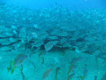 Full frame shot of blue sea