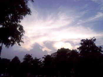 Low angle view of trees against cloudy sky