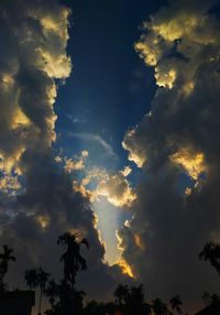 Low angle view of silhouette trees against sky at sunset