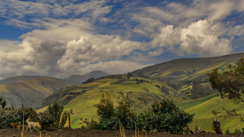 Scenic view of landscape against sky