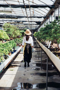 Full length rear view of woman walking in greenhouse