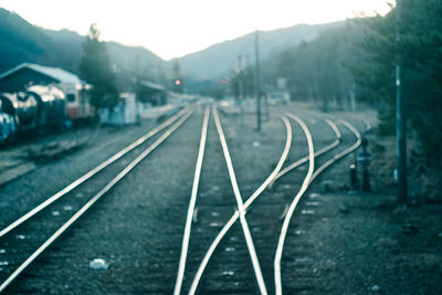 Railroad tracks amidst trees against sky