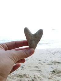 Close-up of hand holding lizard on beach against sky