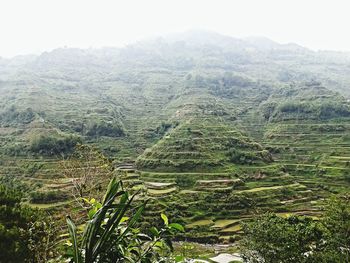 Scenic view of mountains