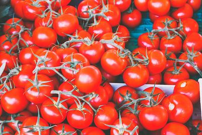 Close-up of tomatoes